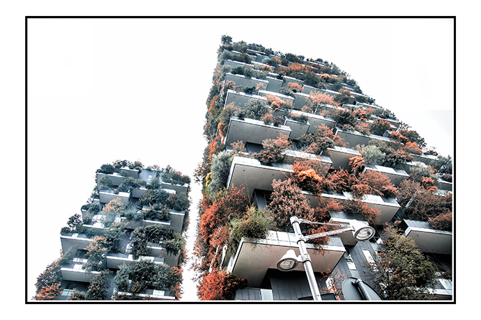 Colore- 08.jpg